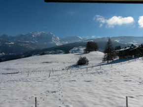 Гостиница Rez de chaussée très calme vue Mont-Blanc, Комблу